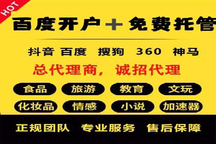 某某sem广告公司成功案例：如何通过SEM优化提高电商销售额